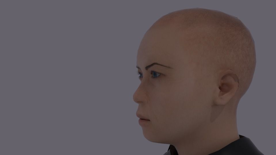 Arc 3d model Hands 3D model_3