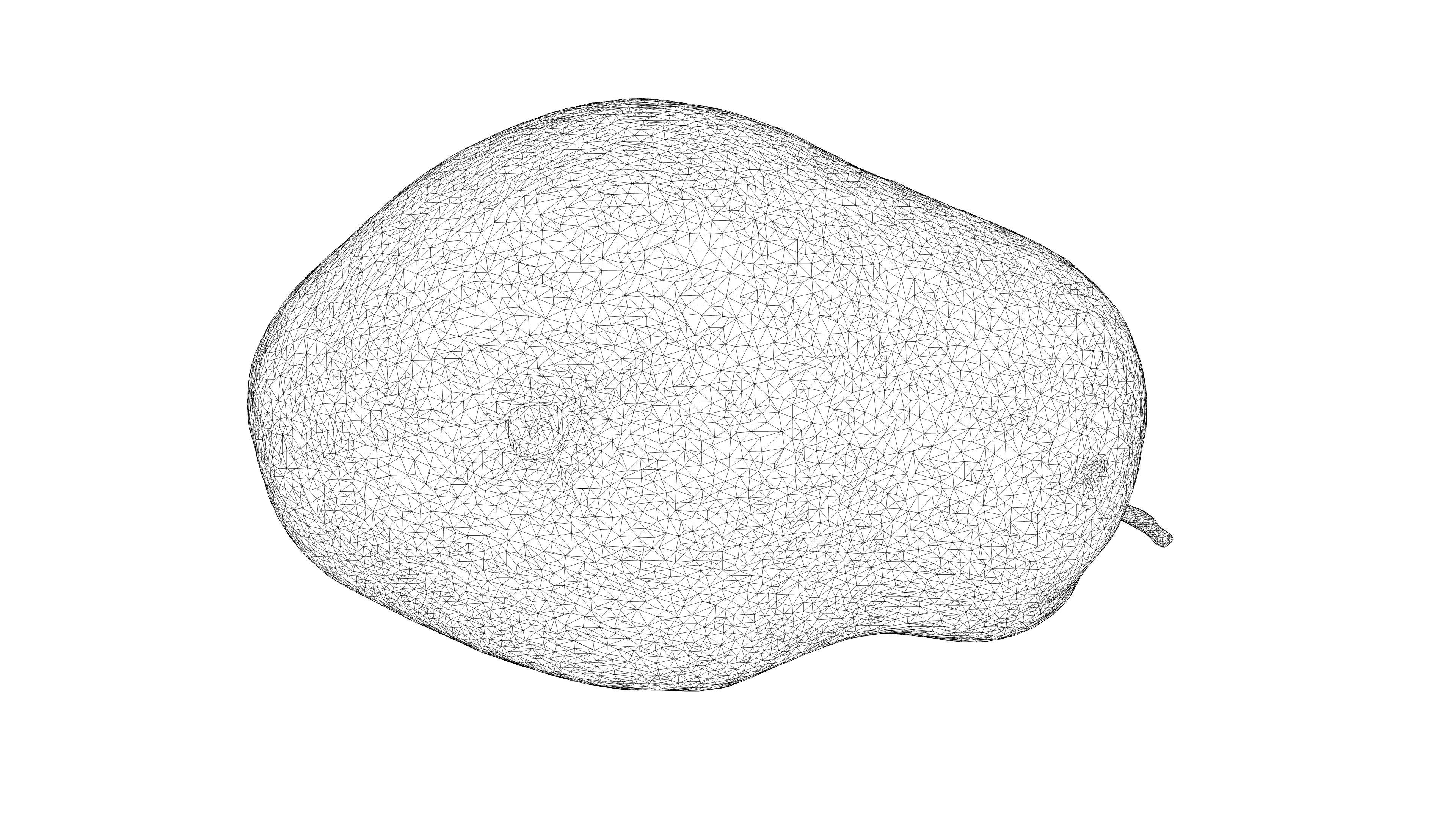 Photorealistic 3D scan of pear Low-poly 3D model_24