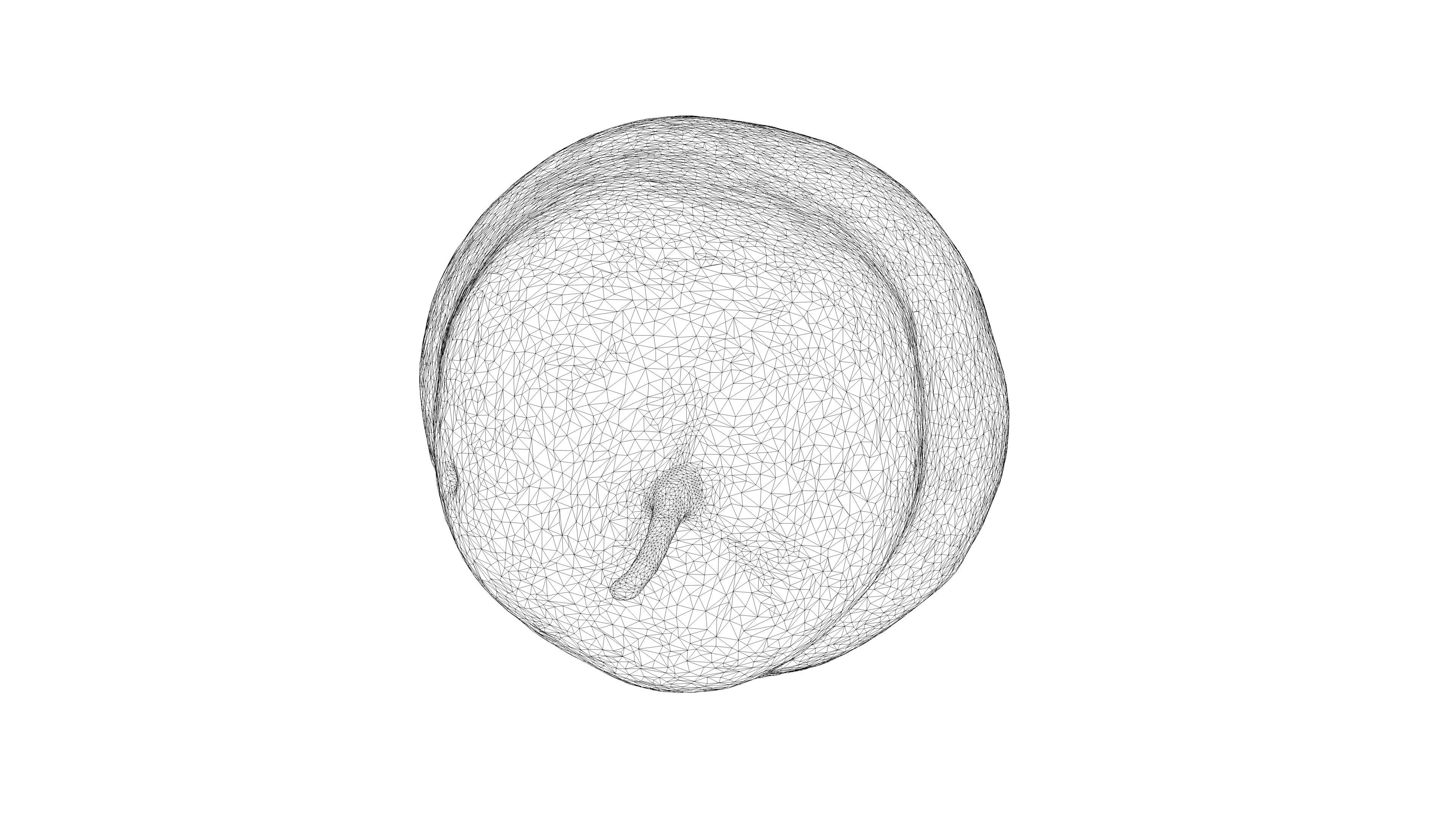 Photorealistic 3D scan of pear Low-poly 3D model_26
