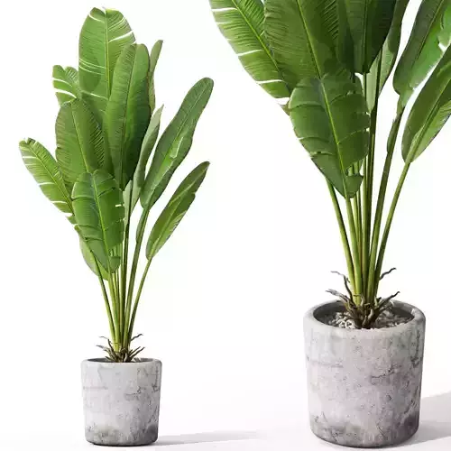 Plants collection 1074