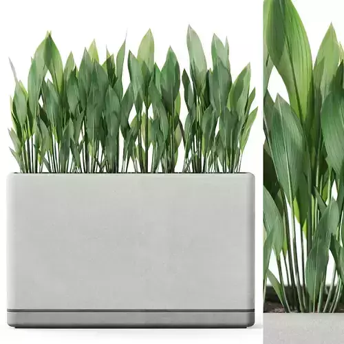 Plants collection 1082 3D model