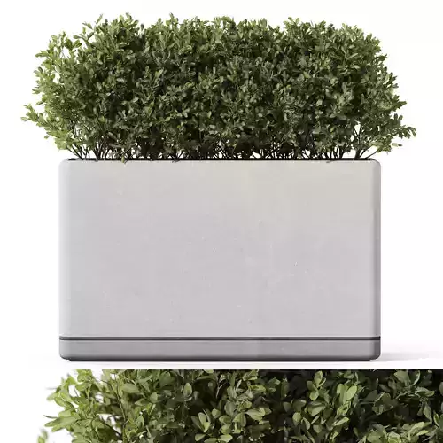 Plants collection 1083 3D model