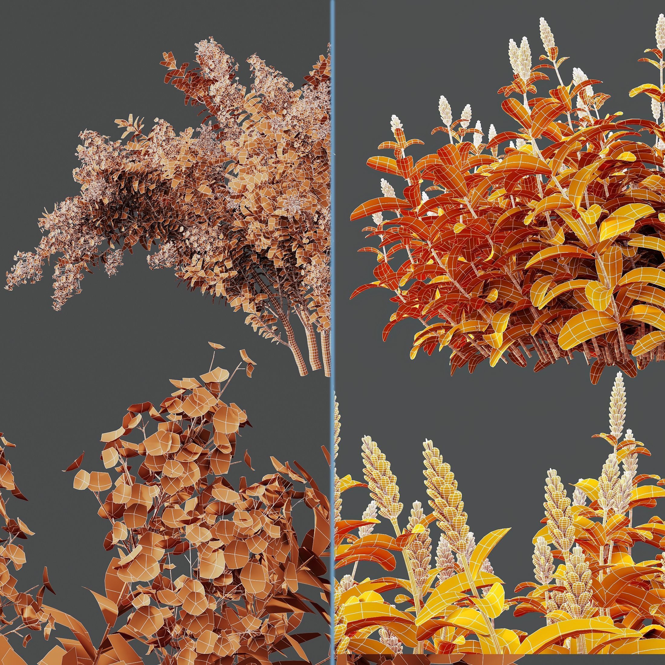 Myrtle White Flower little and Malay Ginger 3D model_8