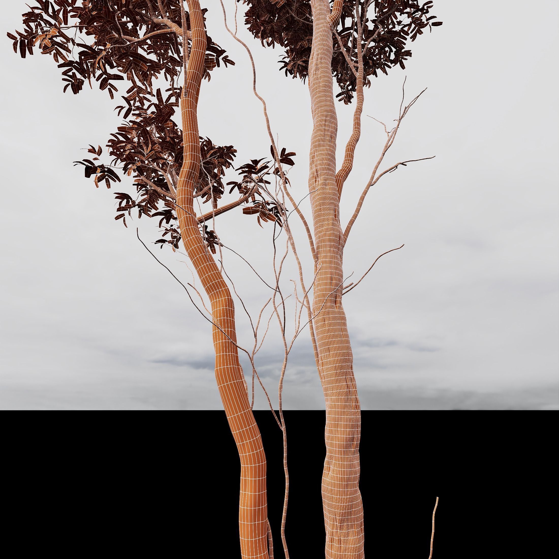 spring trees Betula Pendula and Castanea Sativa 3D model_6