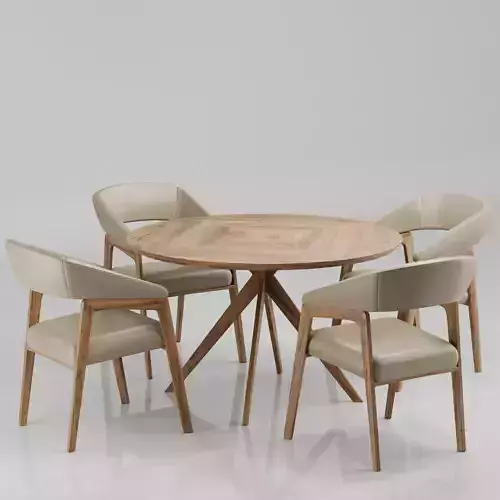 Dinning chair and table53