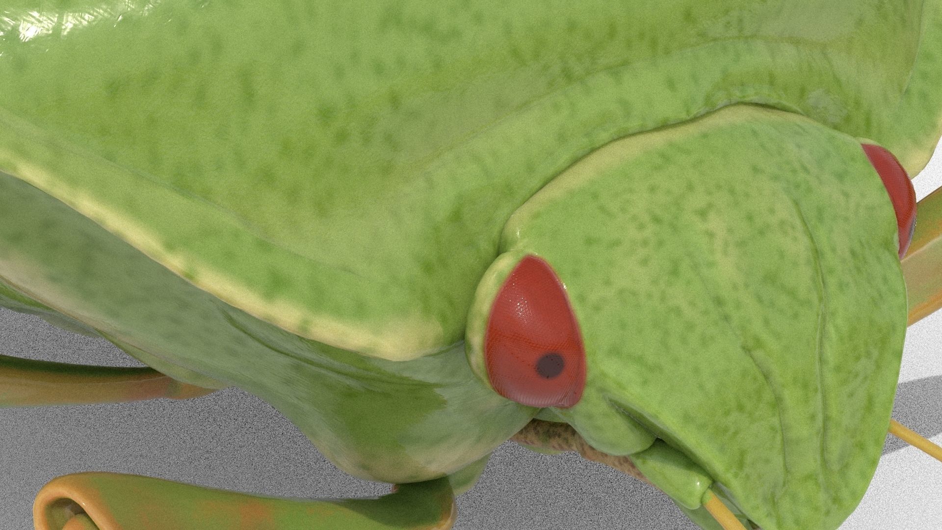 Lifelike Stink bug Low-poly 3D model_14