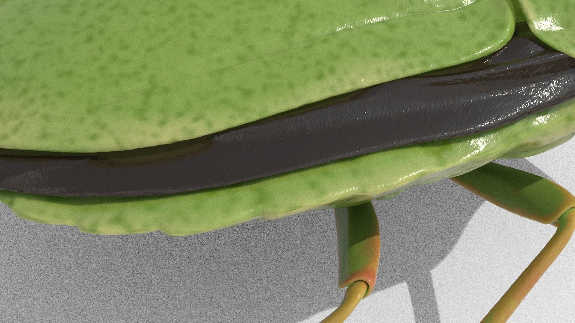 Lifelike Stink bug Low-poly 3D model_3