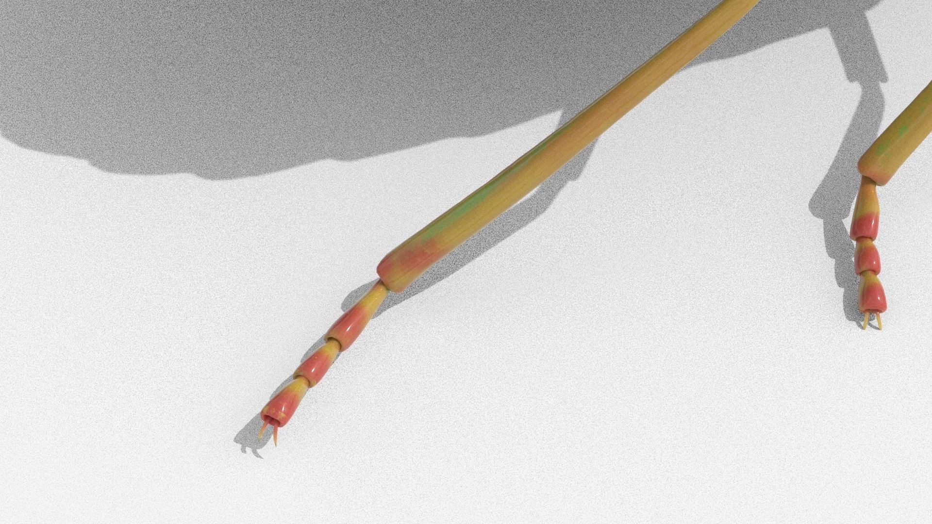 Lifelike Stink bug Low-poly 3D model_8