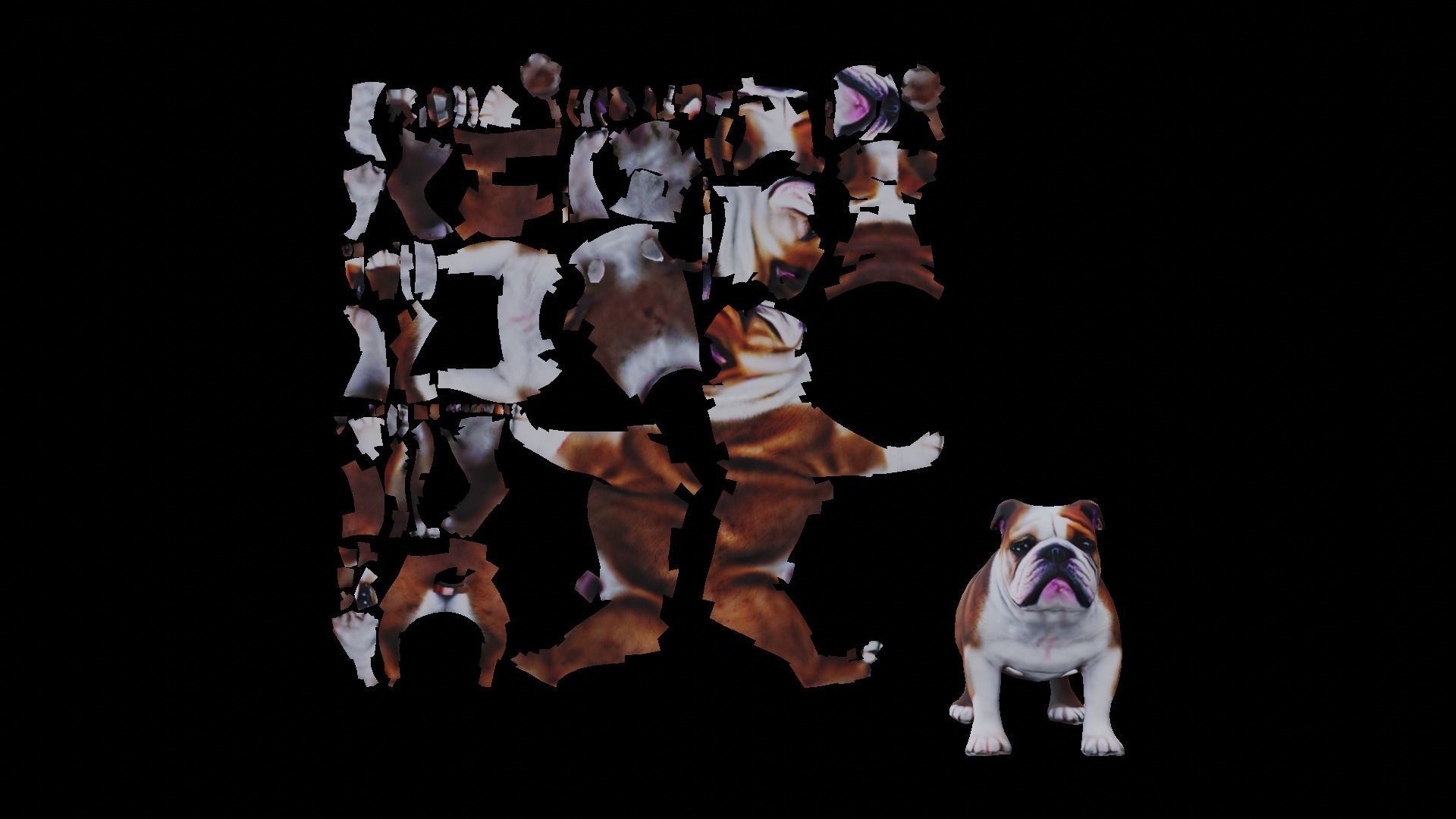 Realistic bulldog low poly  Low-poly 3D model_4