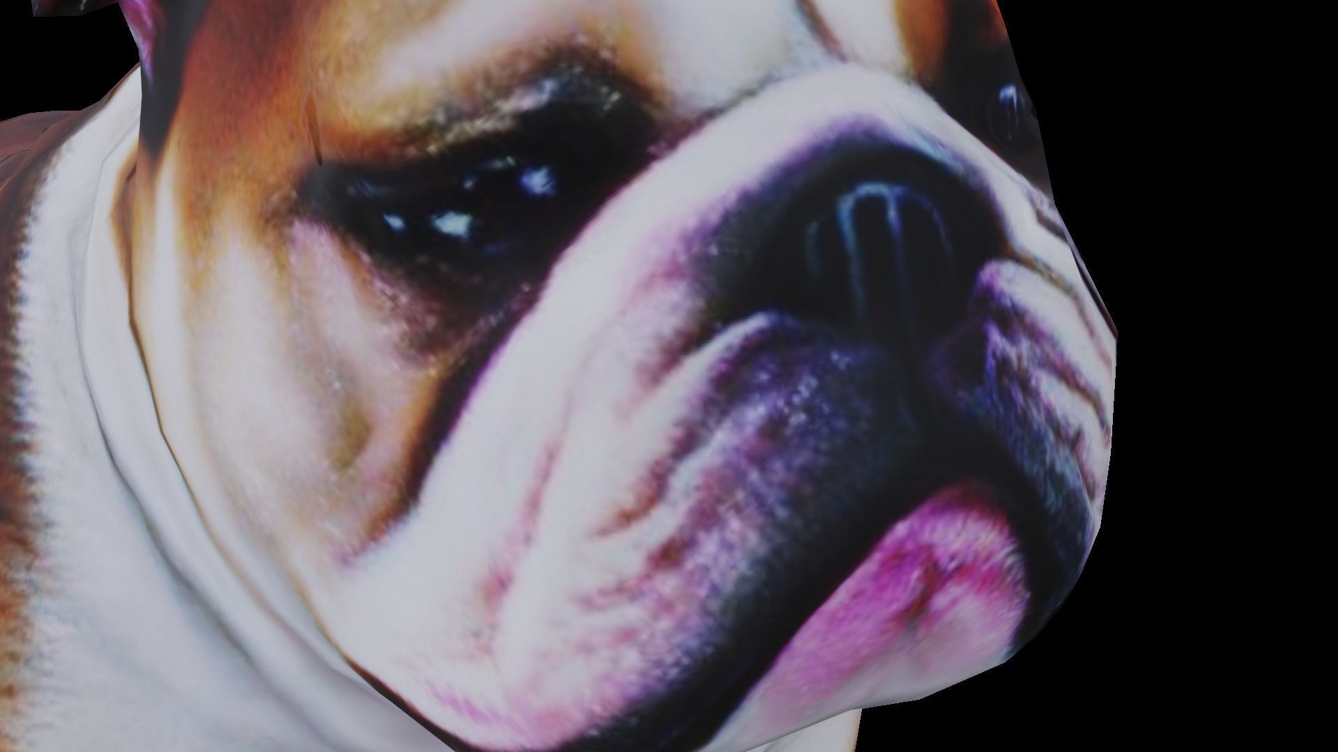 Realistic bulldog low poly  Low-poly 3D model_11