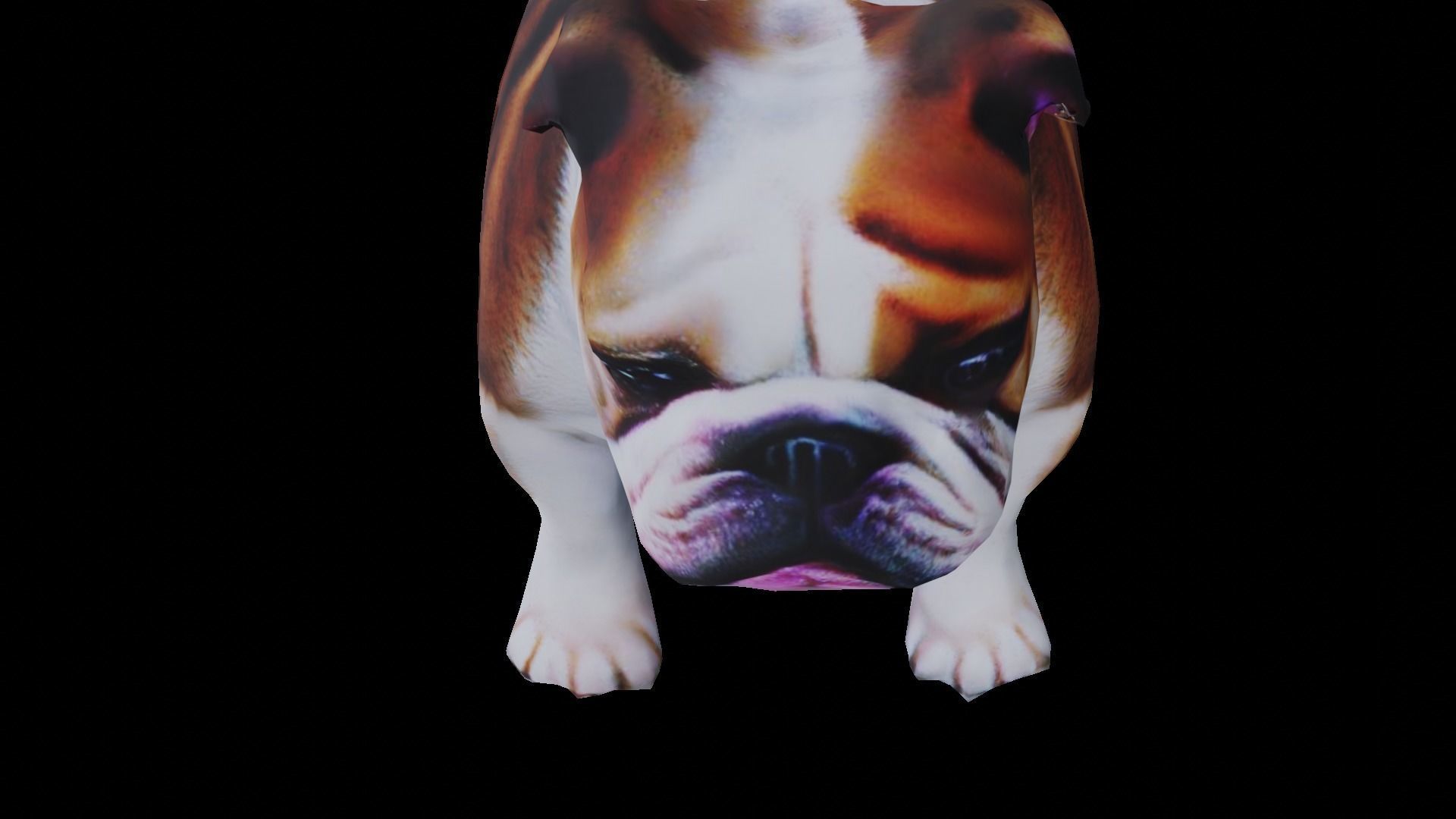 Realistic bulldog low poly  Low-poly 3D model_10