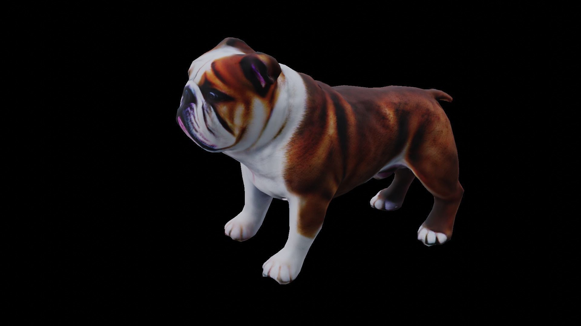 Realistic bulldog low poly  Low-poly 3D model_3