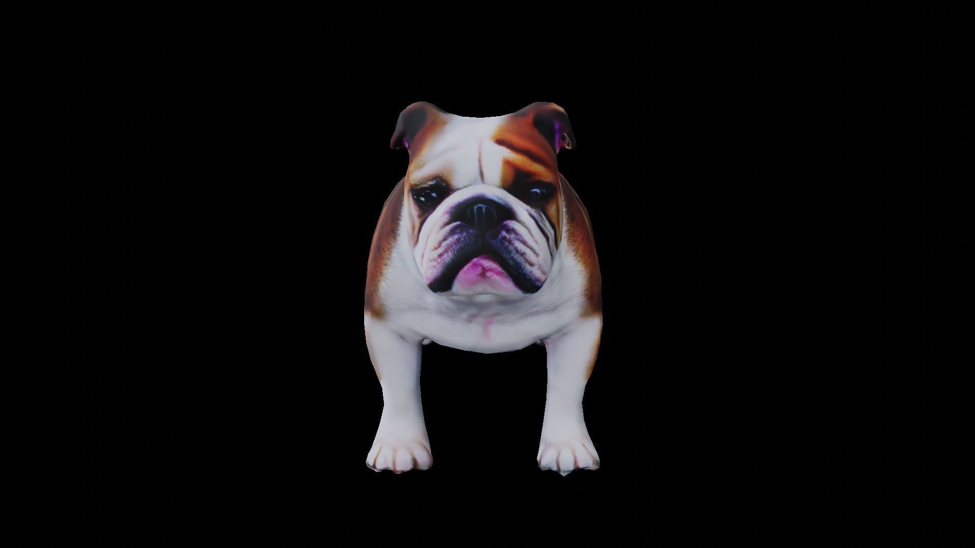 Realistic bulldog low poly  Low-poly 3D model_2