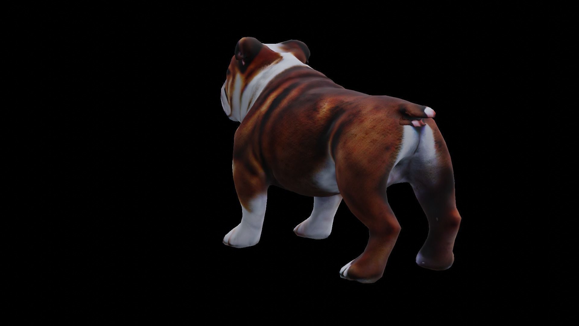 Realistic bulldog low poly  Low-poly 3D model_6