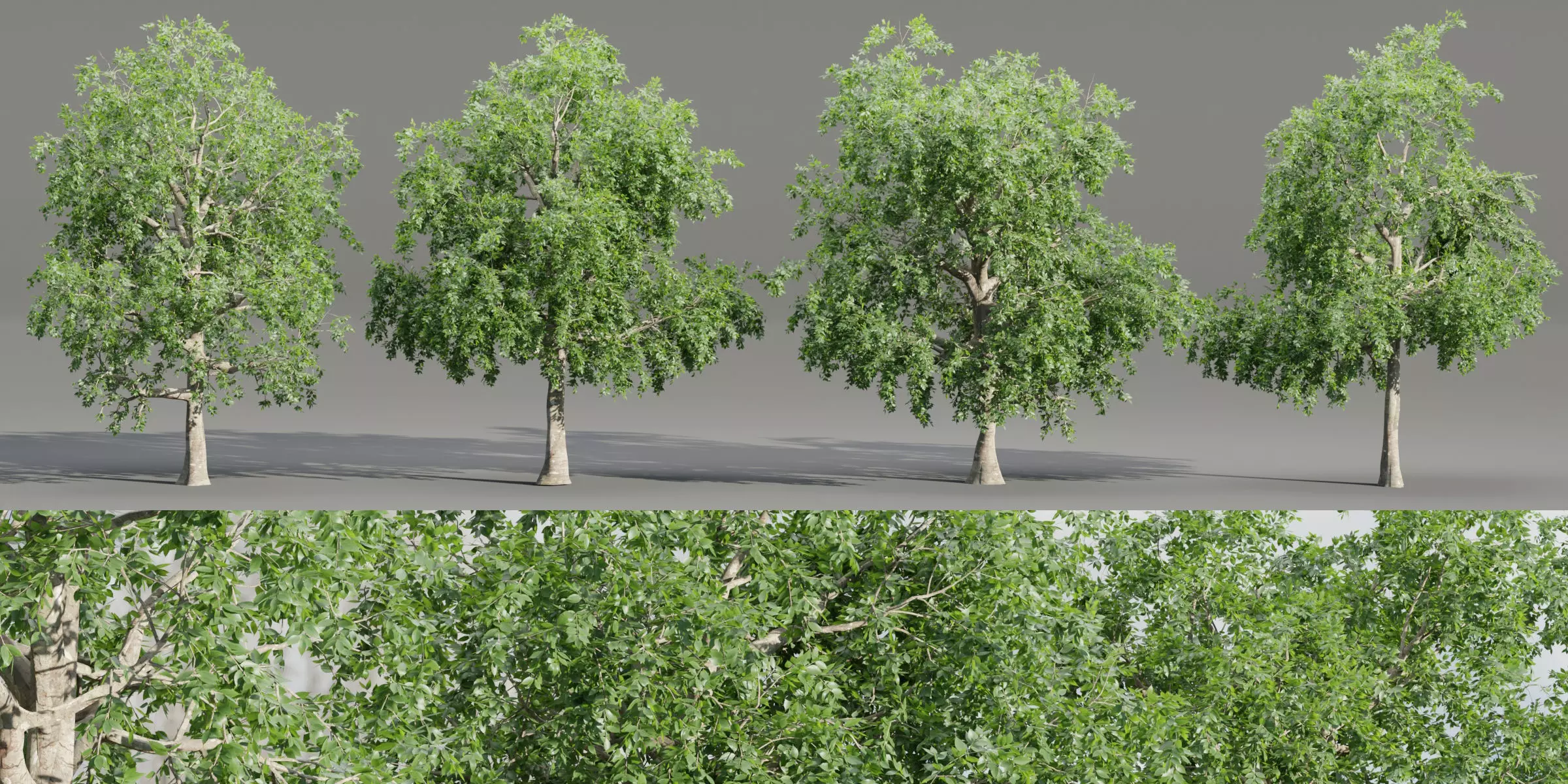 Trees collection vol 238-Blender 3D model