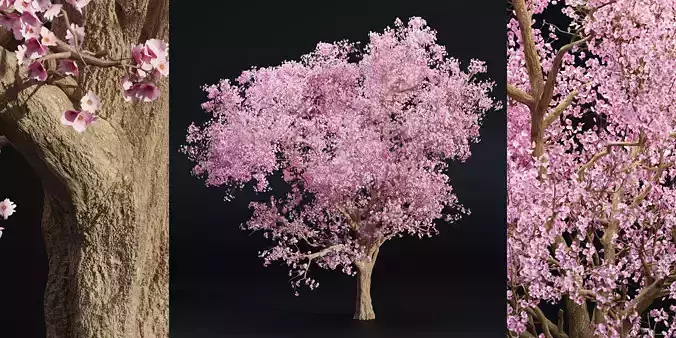 East Asian Cherry vol 239-Blender 3D model