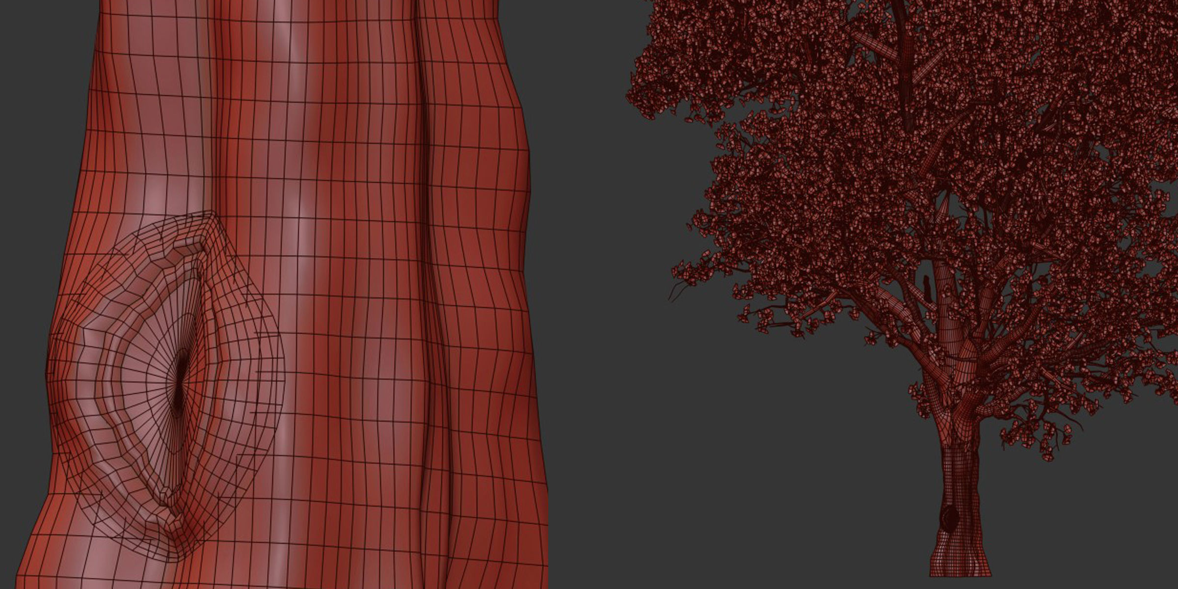 East Asian Cherry vol 239-Blender 3D model_6