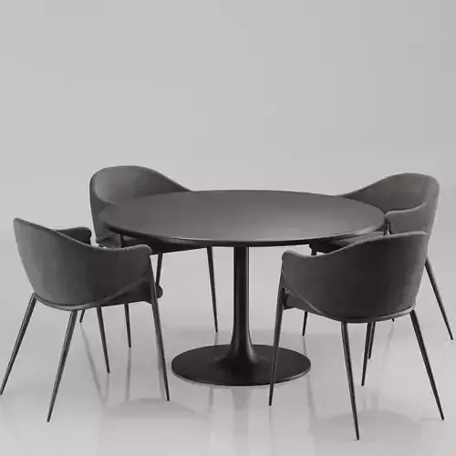 Dinning chair and table62