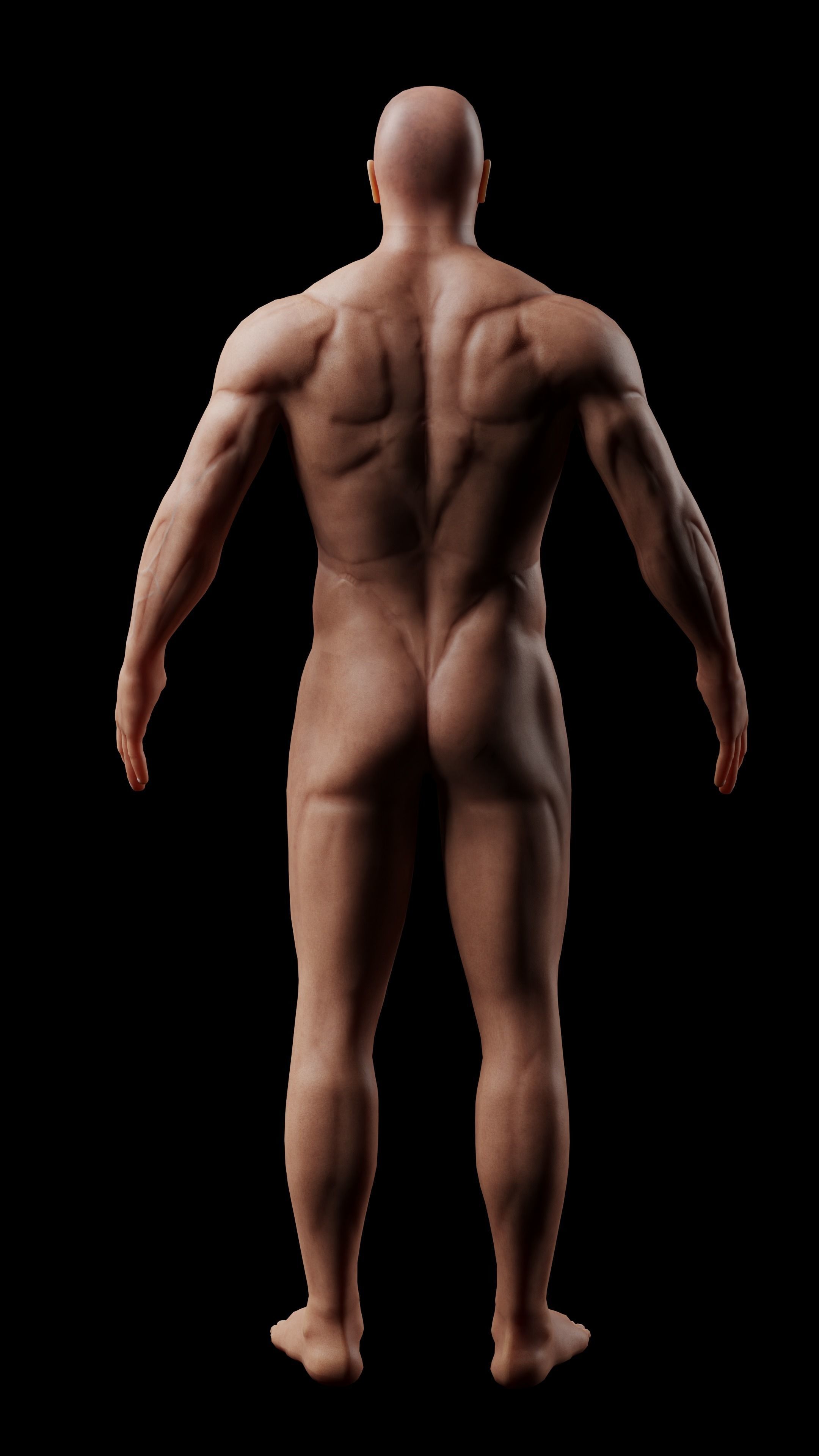 Male game ready Character Body  Low-poly 3D model_8