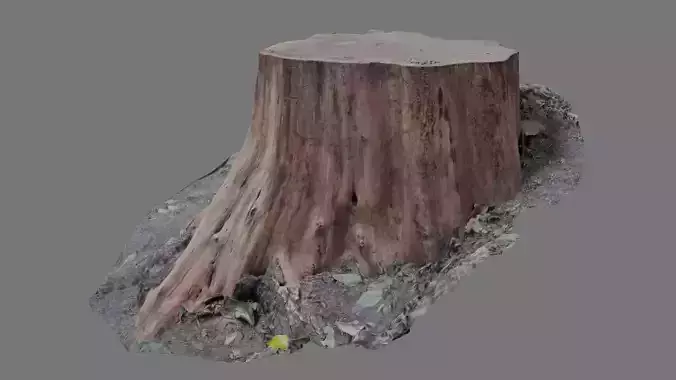 Forest stump scan pack collection 3D model