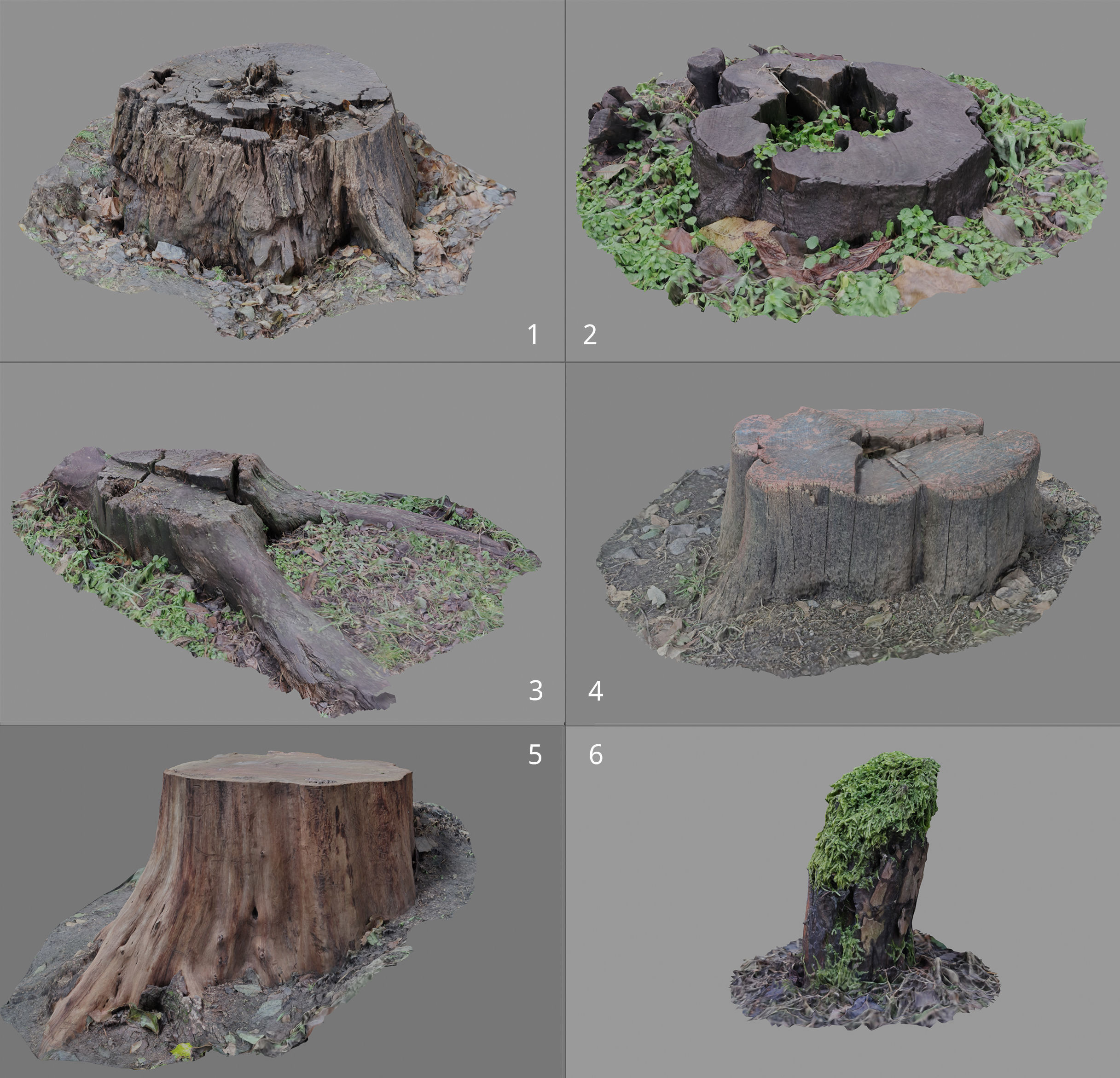 Forest stump scan pack collection 3D model 3D model_1