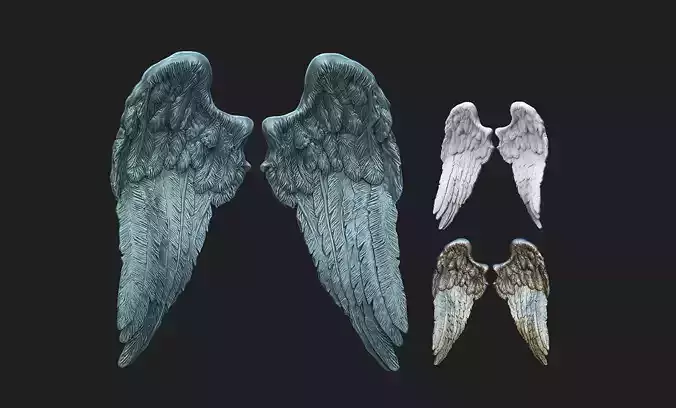 wings 04