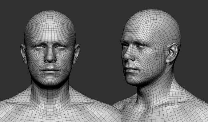 Male Base Mesh 3D model