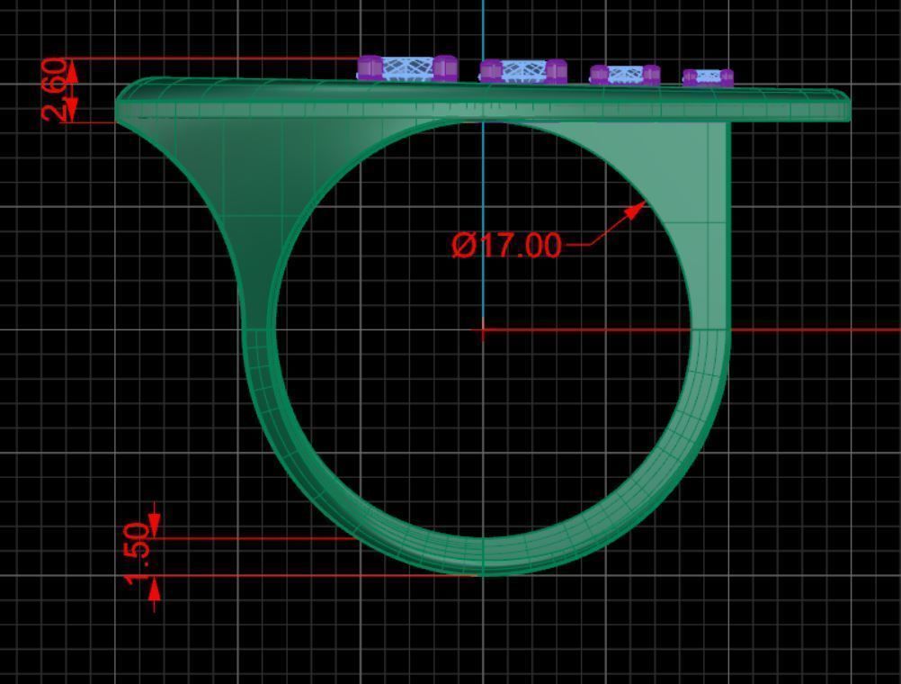 Rhythm Ring P-01-371-170 3D print model_8