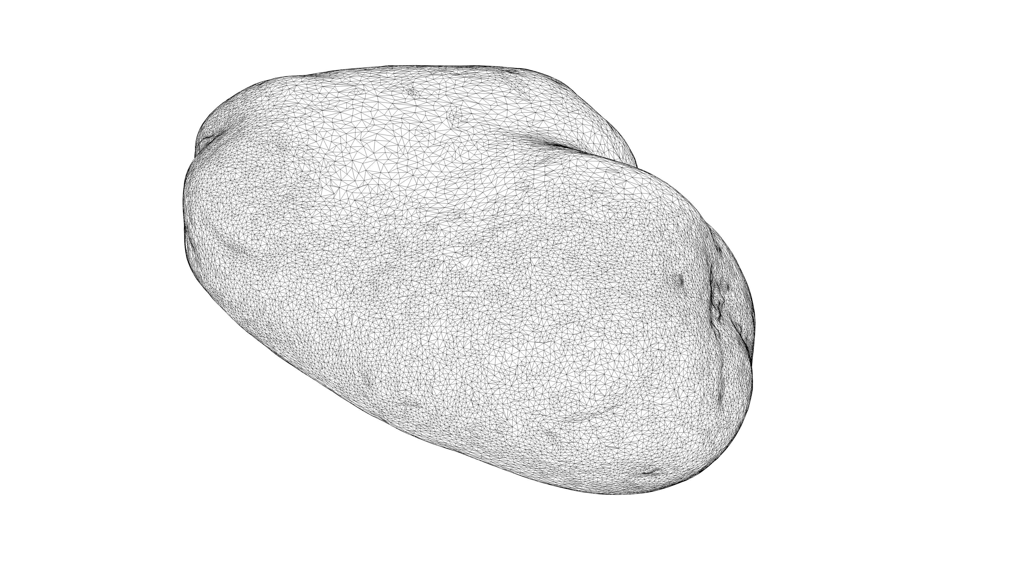 Photorealistic 3D scan of potato Low-poly 3D model_21