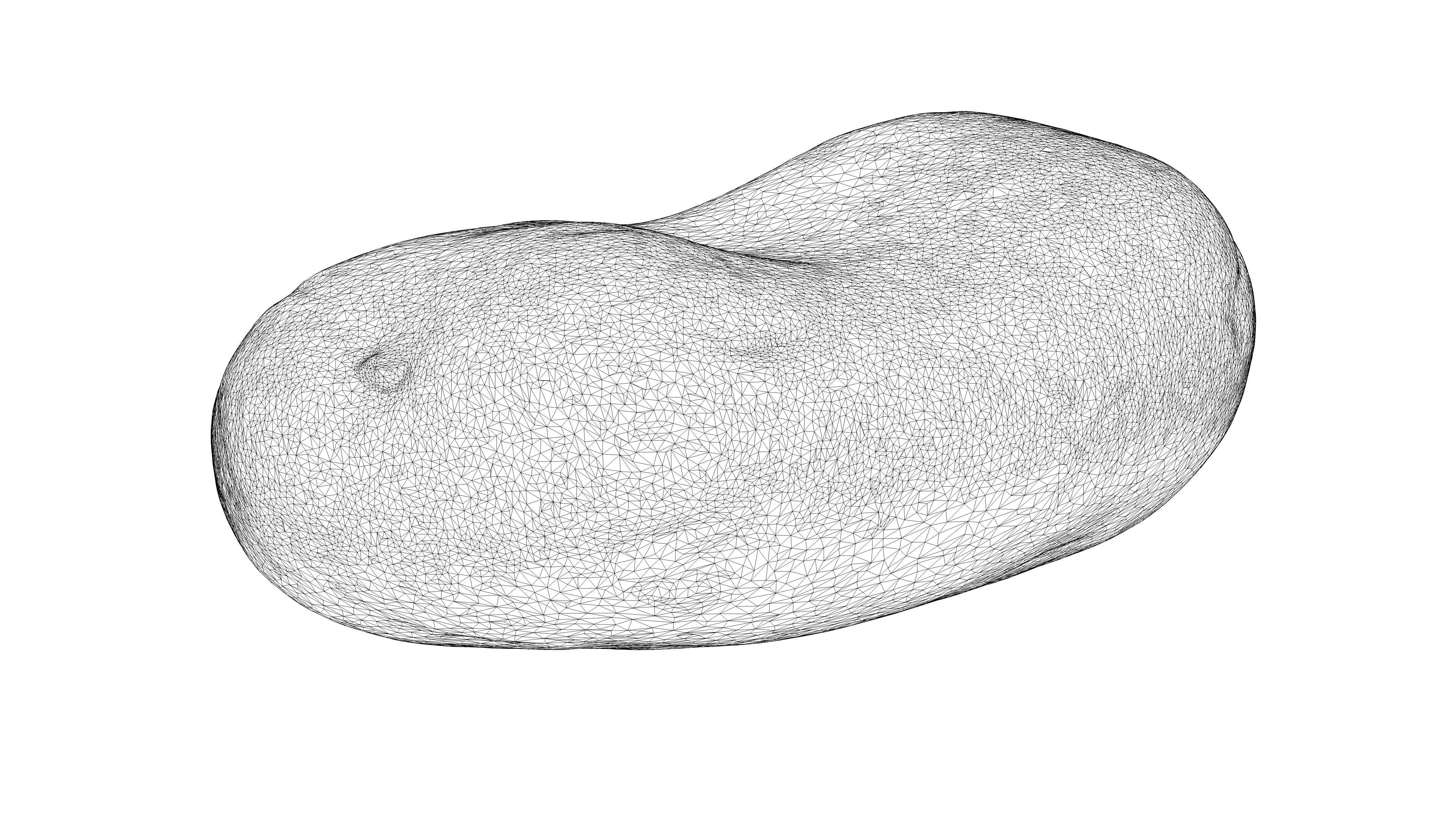 Photorealistic 3D scan of potato Low-poly 3D model_24