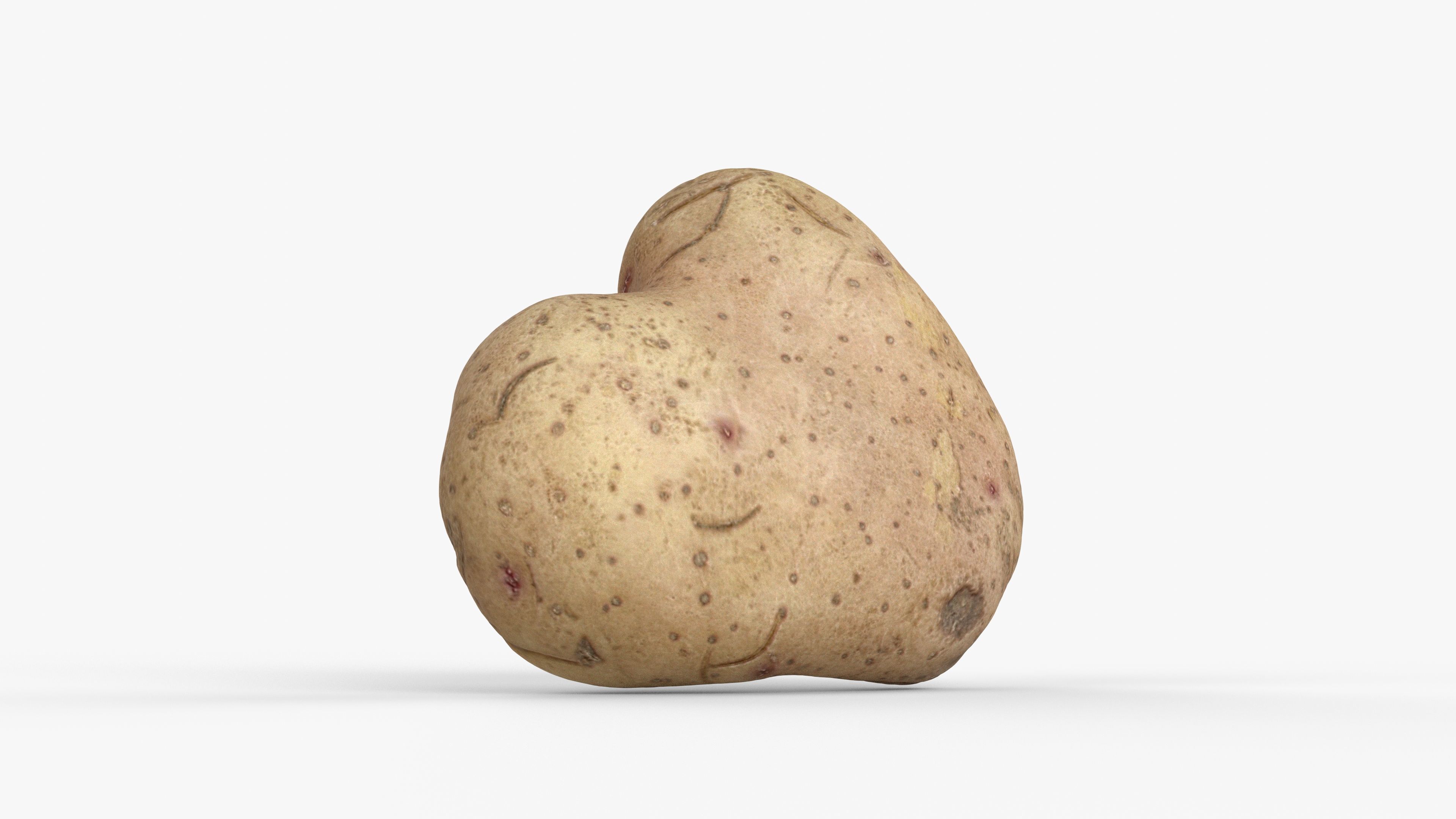 Photorealistic 3D scan of potato Low-poly 3D model_10