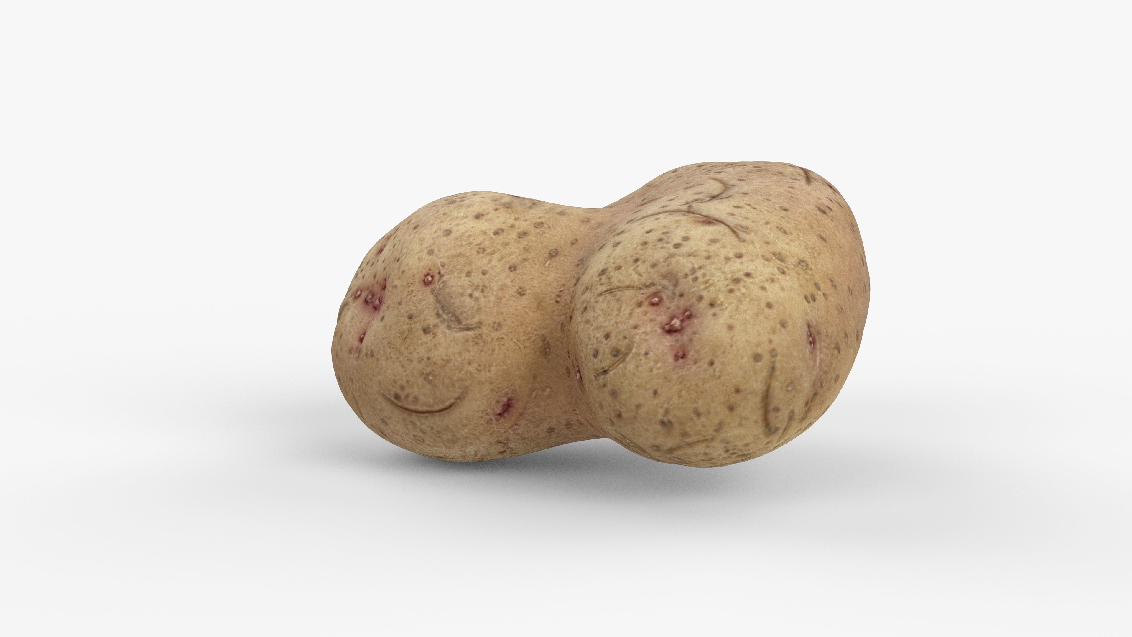 Photorealistic 3D scan of potato Low-poly 3D model_2