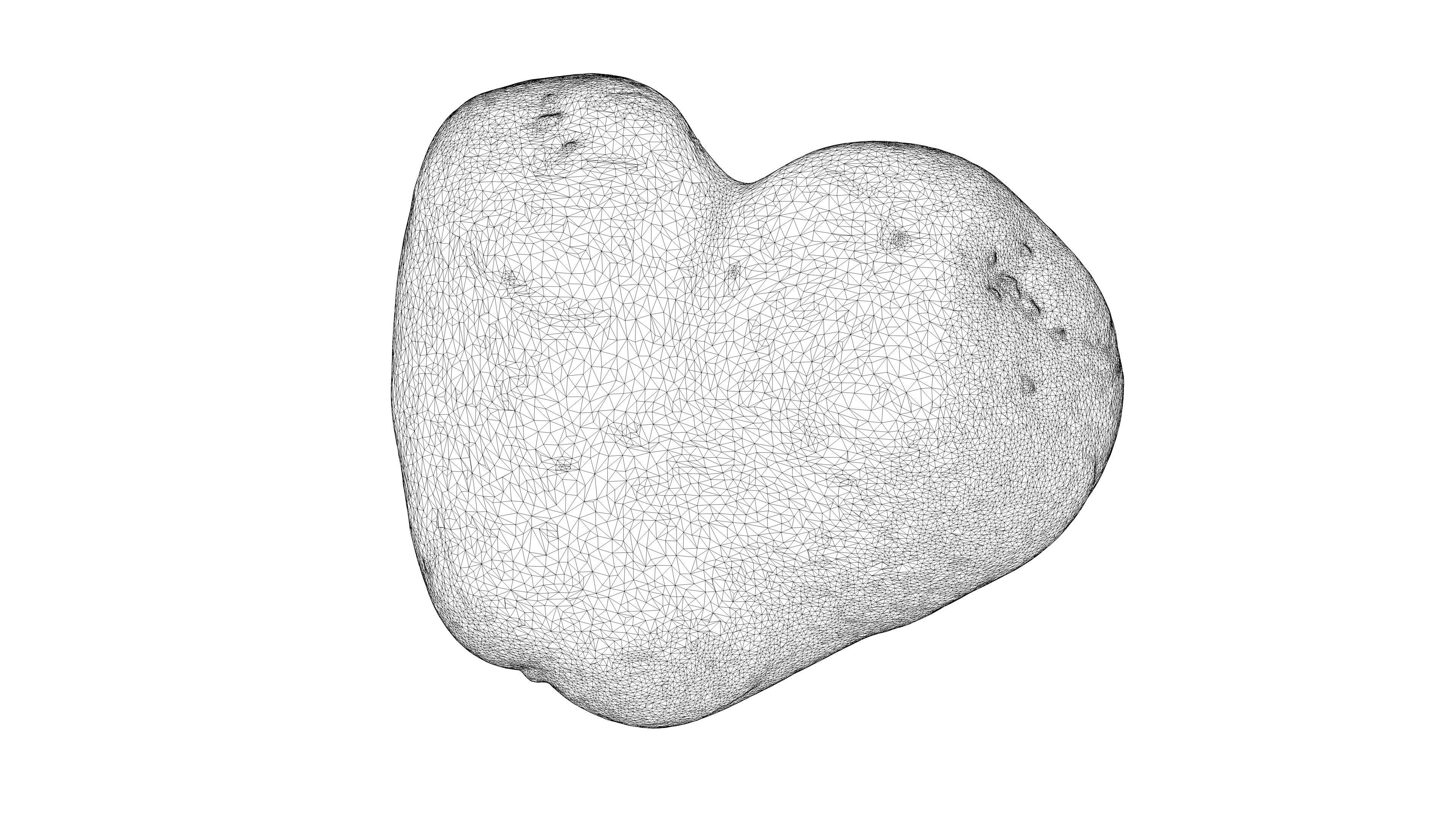 Photorealistic 3D scan of potato Low-poly 3D model_22