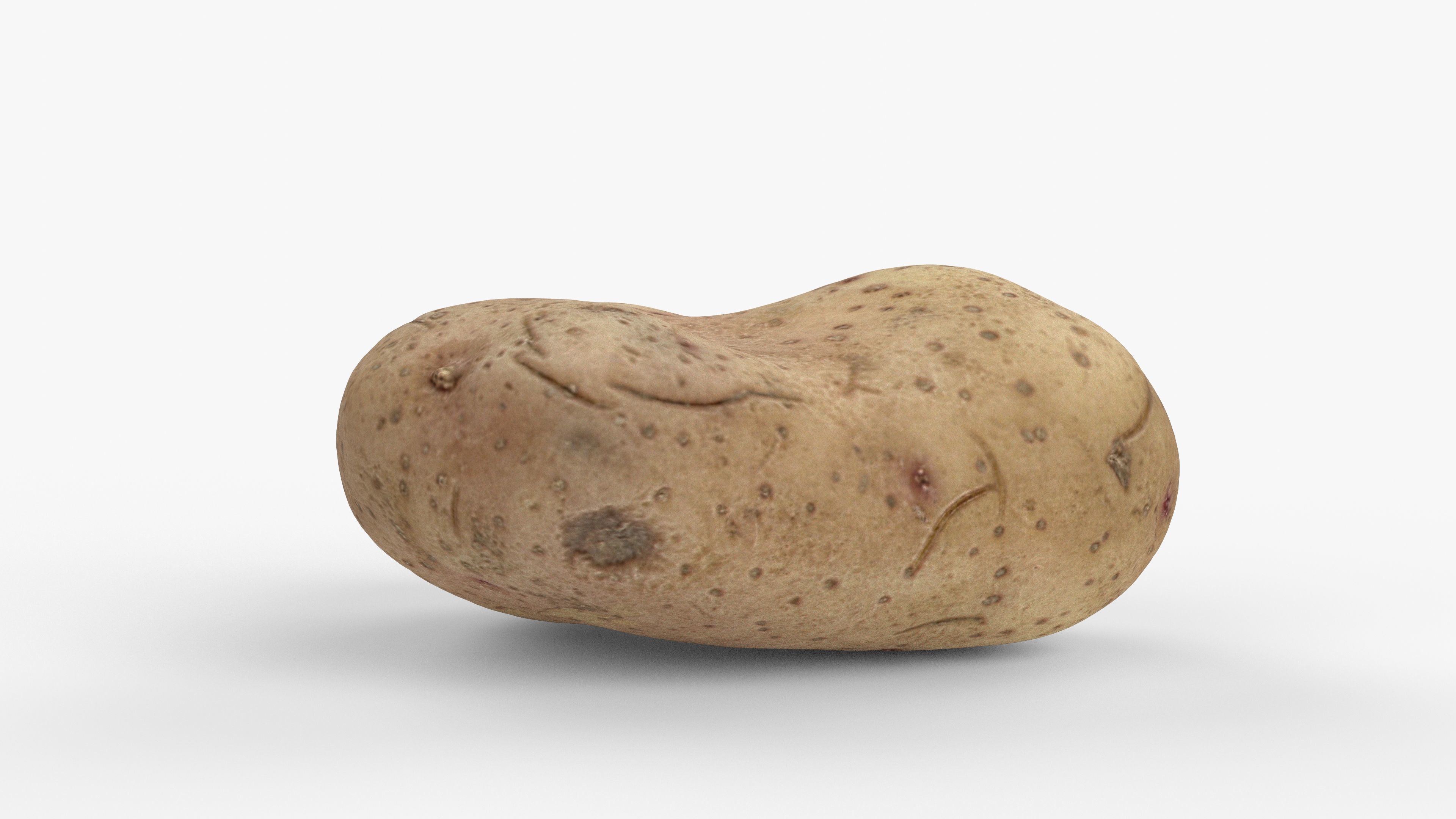 Photorealistic 3D scan of potato Low-poly 3D model_4