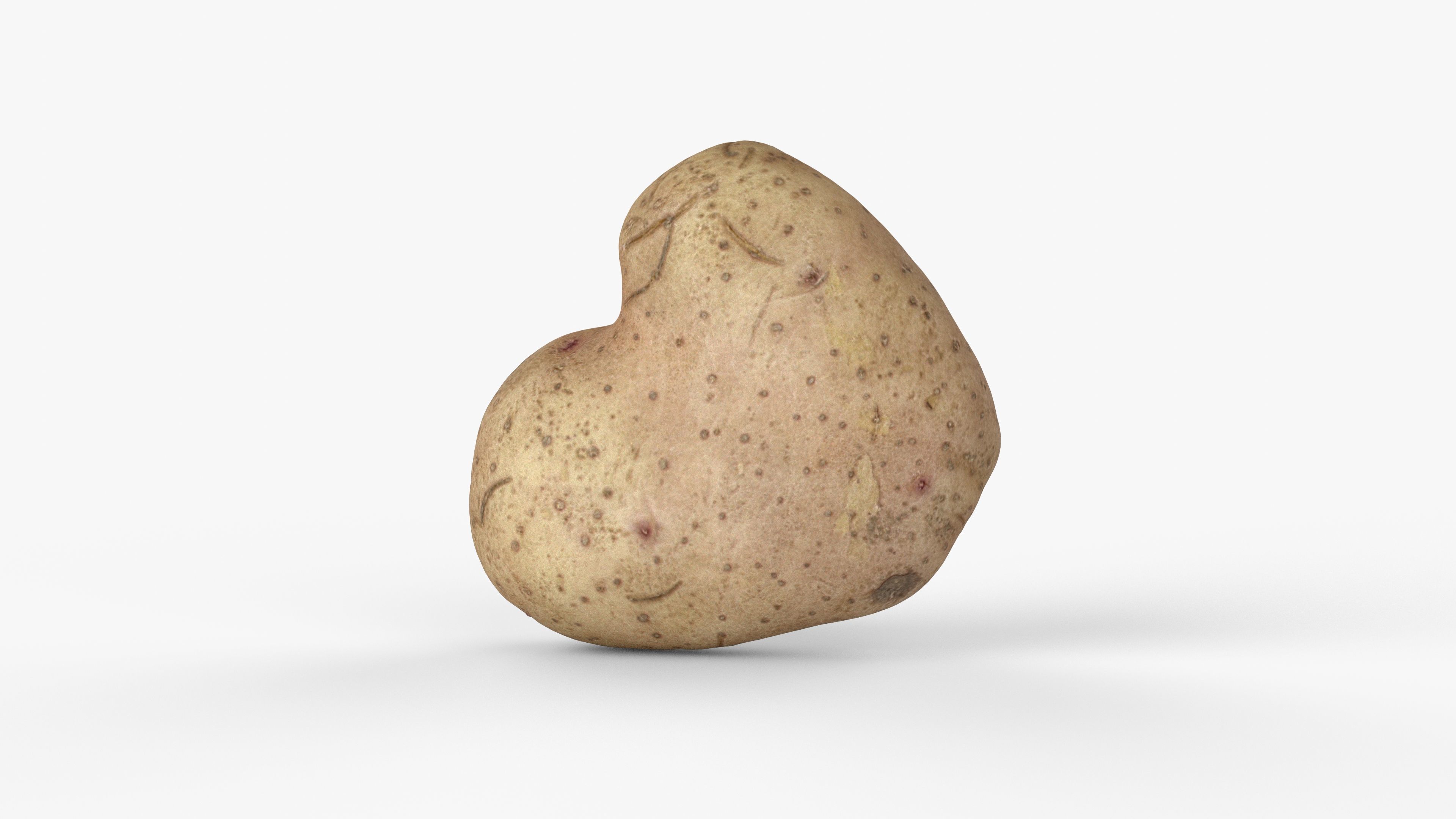 Photorealistic 3D scan of potato Low-poly 3D model_13