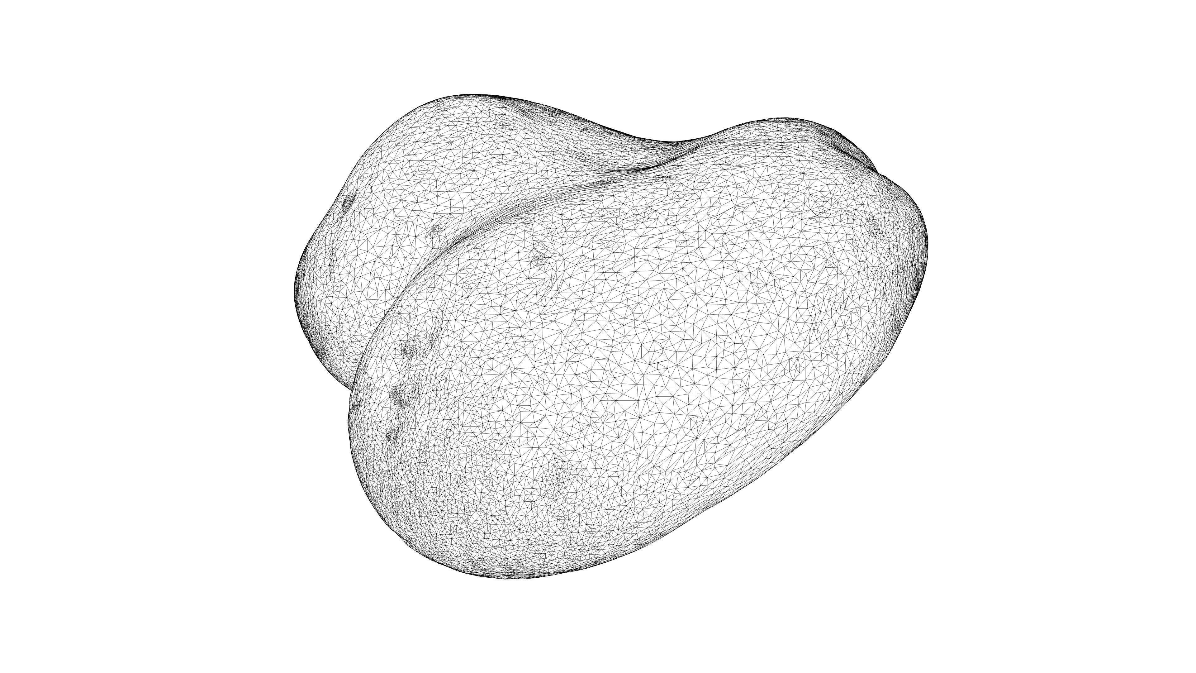 Photorealistic 3D scan of potato Low-poly 3D model_19