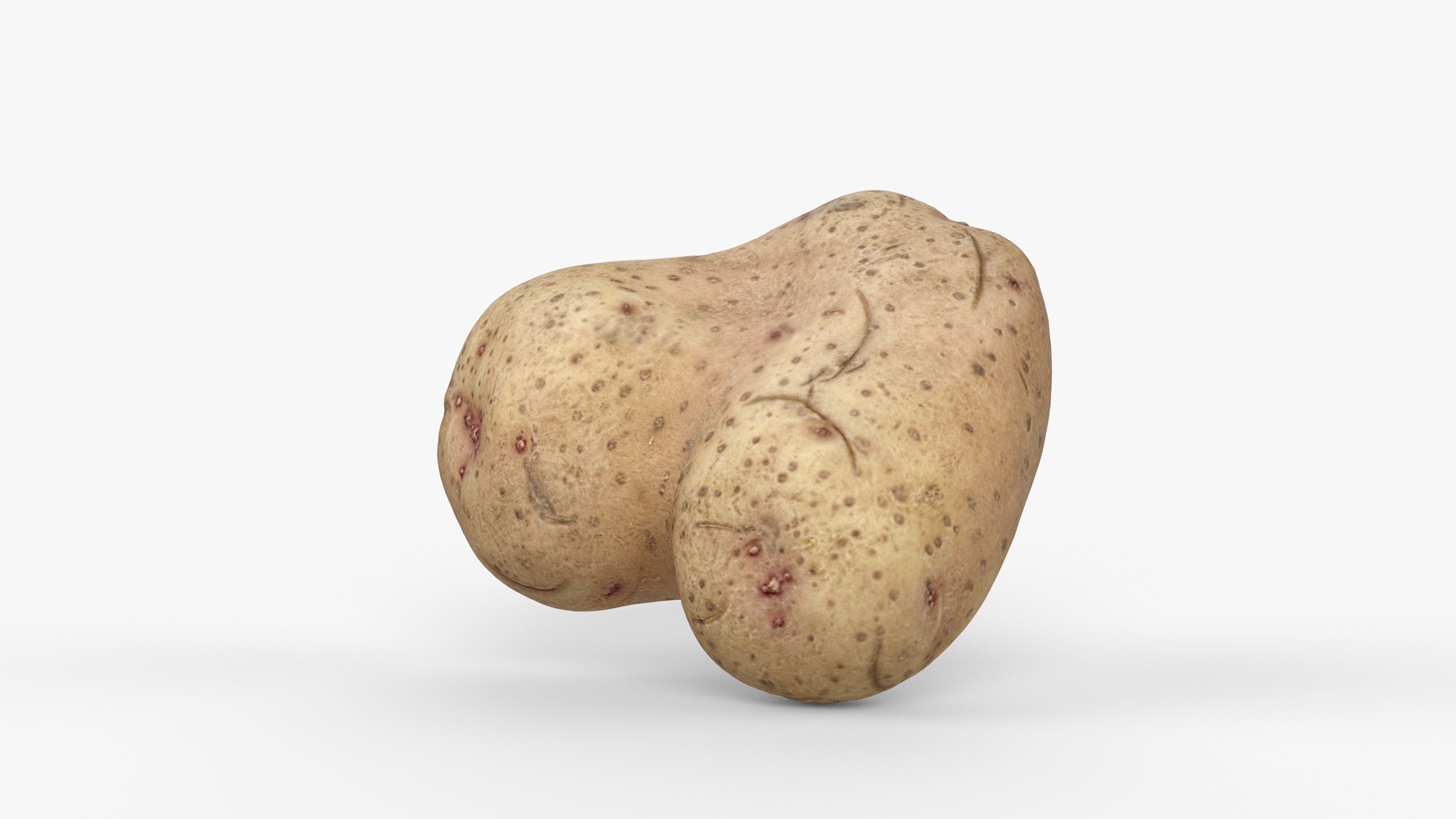 Photorealistic 3D scan of potato Low-poly 3D model_12
