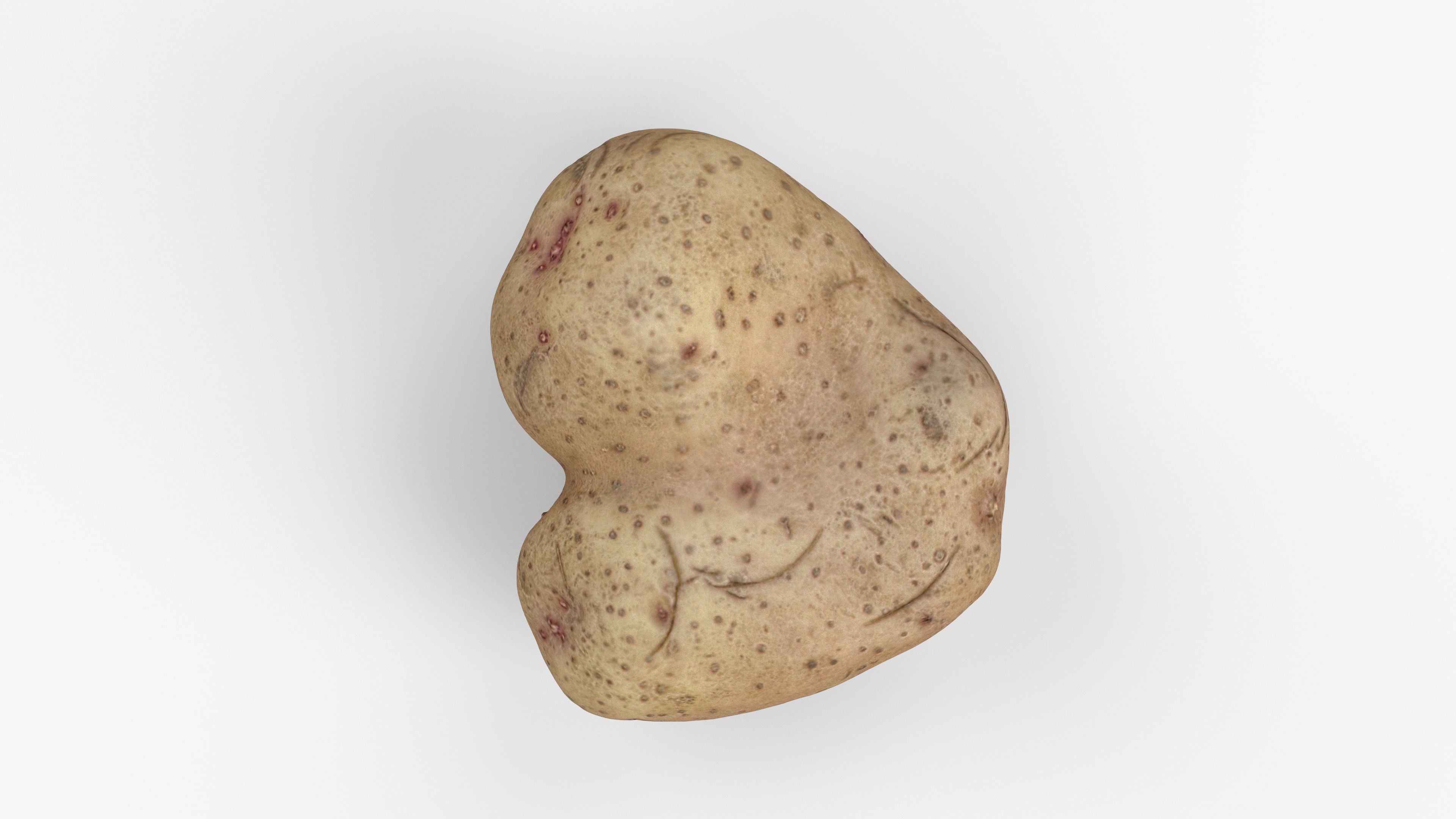 Photorealistic 3D scan of potato Low-poly 3D model_11