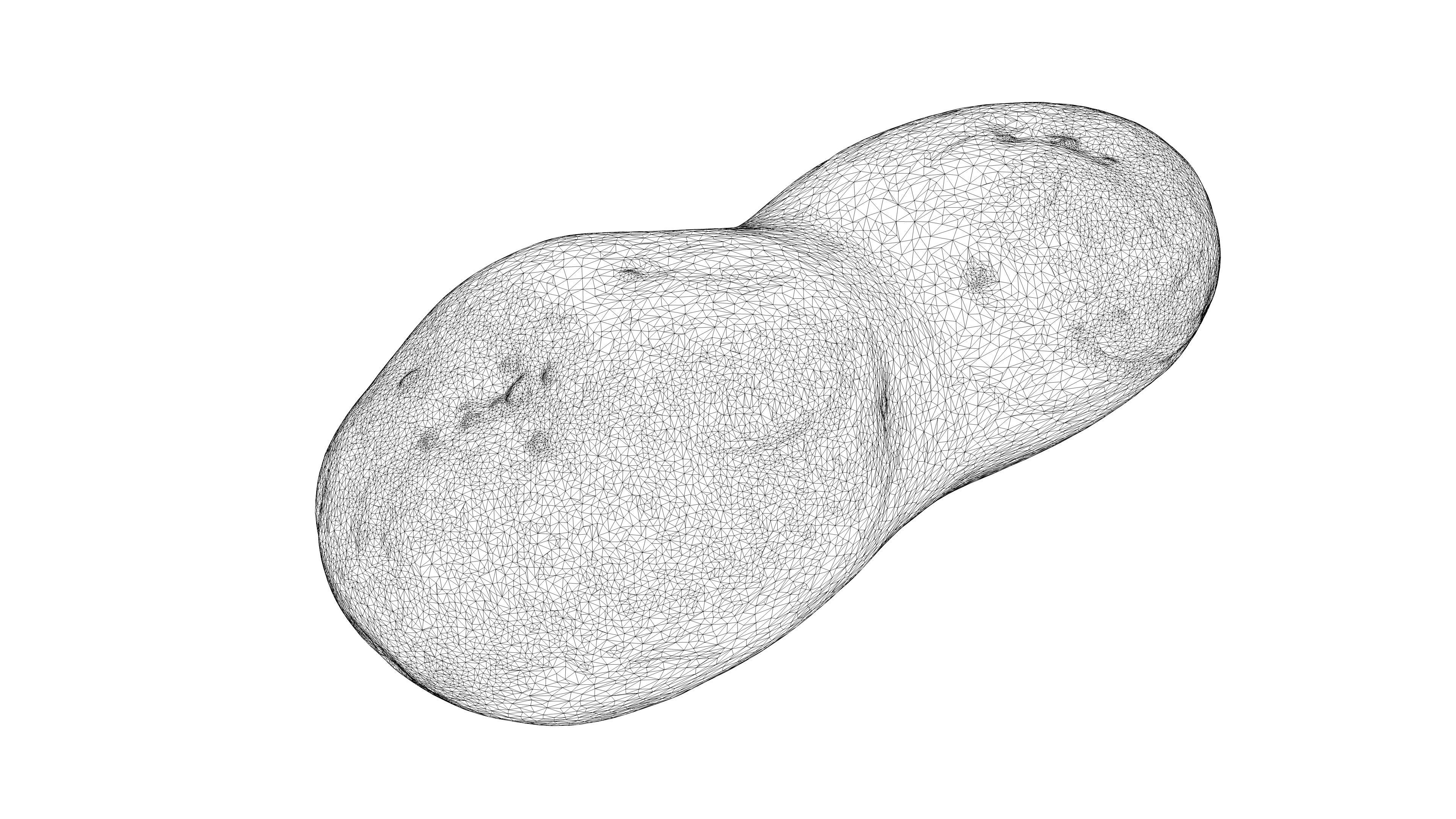 Photorealistic 3D scan of potato Low-poly 3D model_23