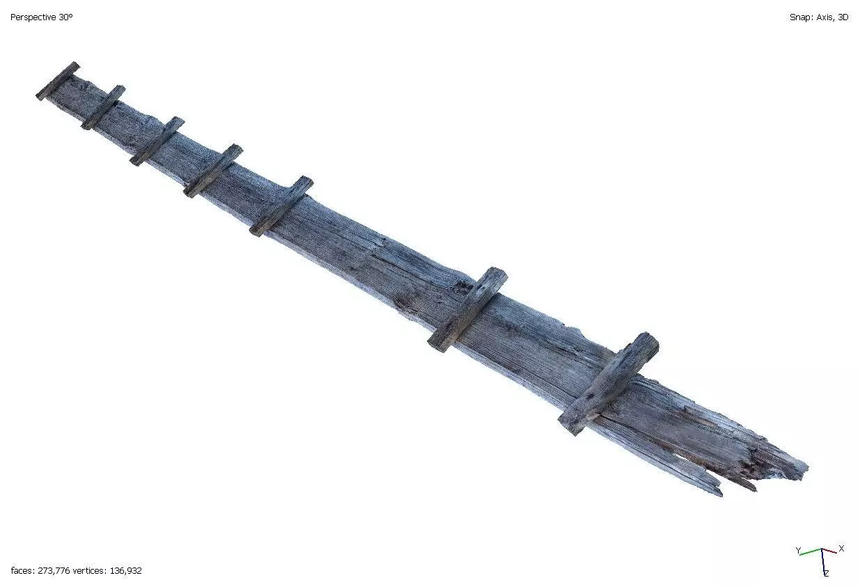 Old rotten ladder for roof repair 3D model_0