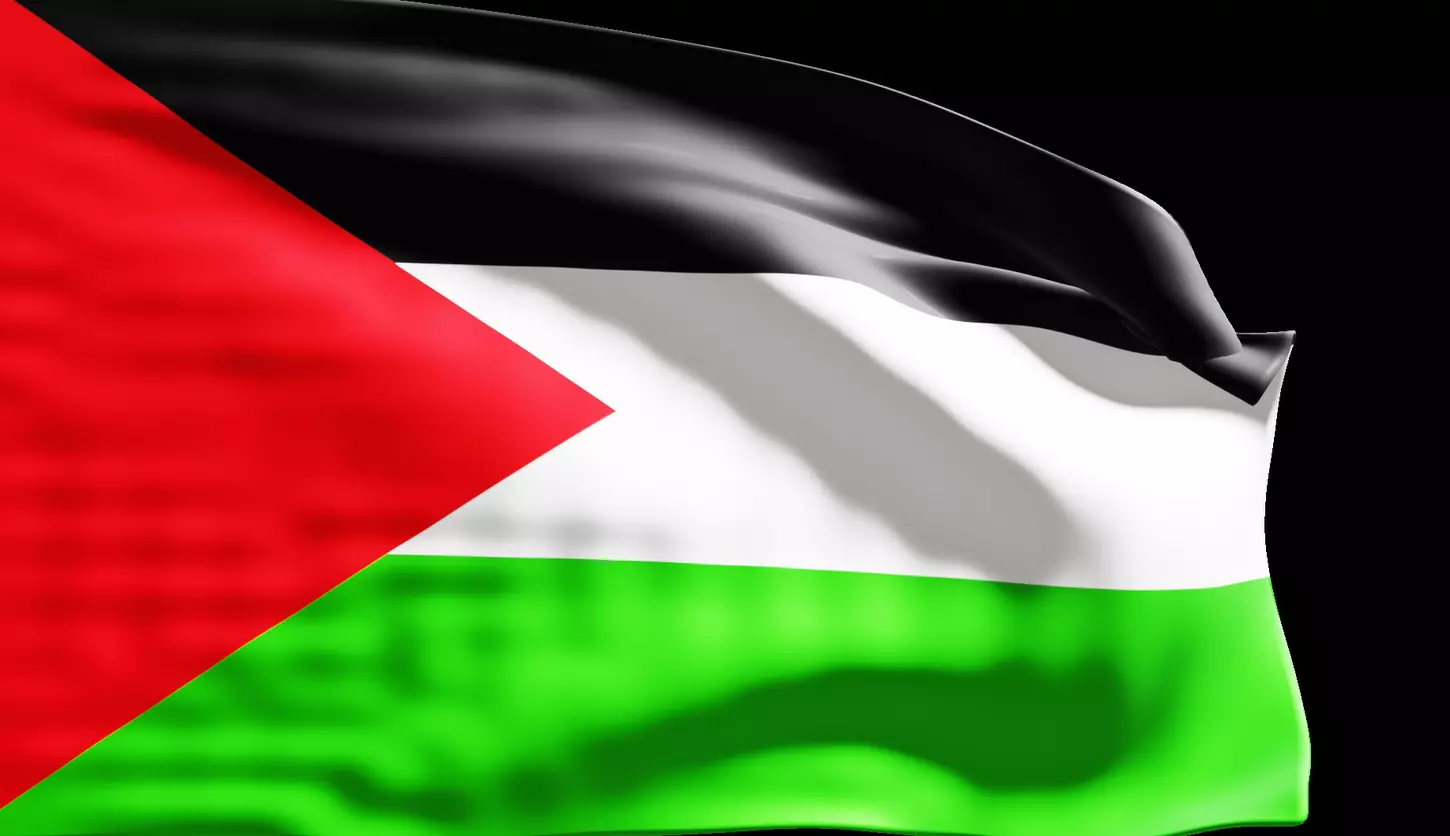  Floating Pride-3D Palestine Flag Animation 3D model_0
