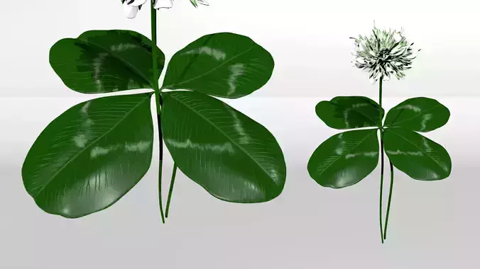Four-Leaf Clover 3D model