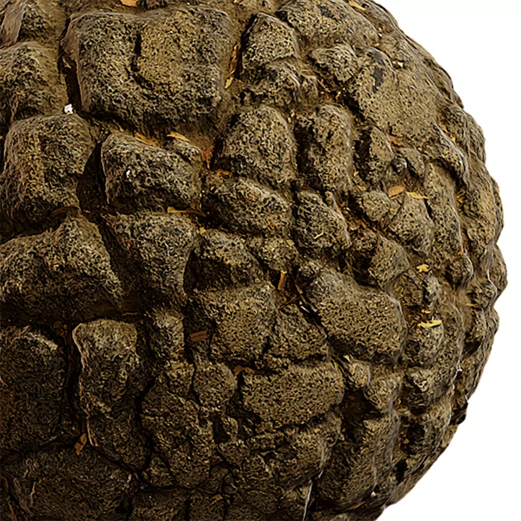 Concrete Seamless Texture 2K - EXR 5 - JPG 5 Texture Texture_0