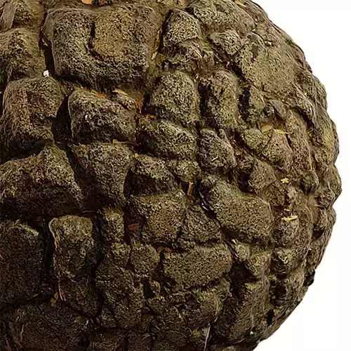 Concrete Seamless Texture 2K - EXR 5 - JPG 5 Texture