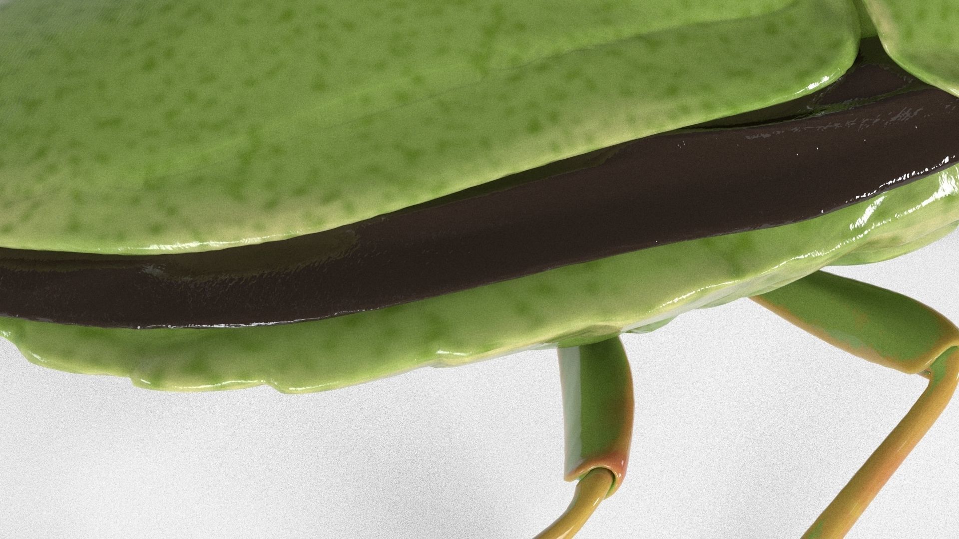 4k Stink bug 3D model_10