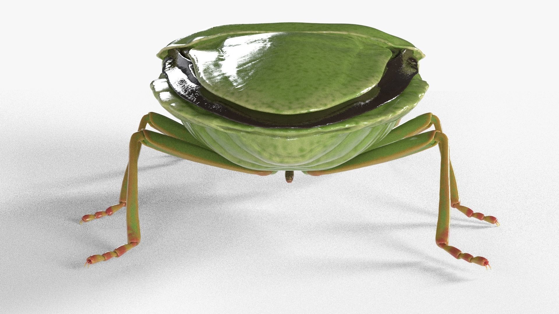 4k Stink bug 3D model_5