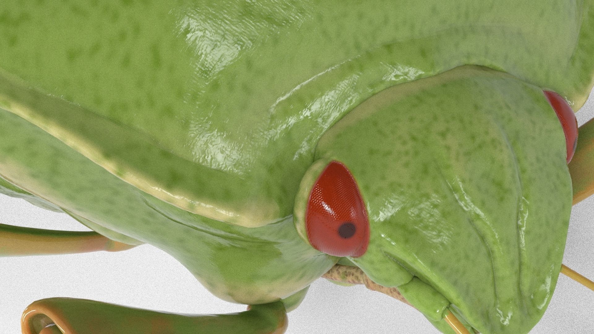 4k Stink bug 3D model_9