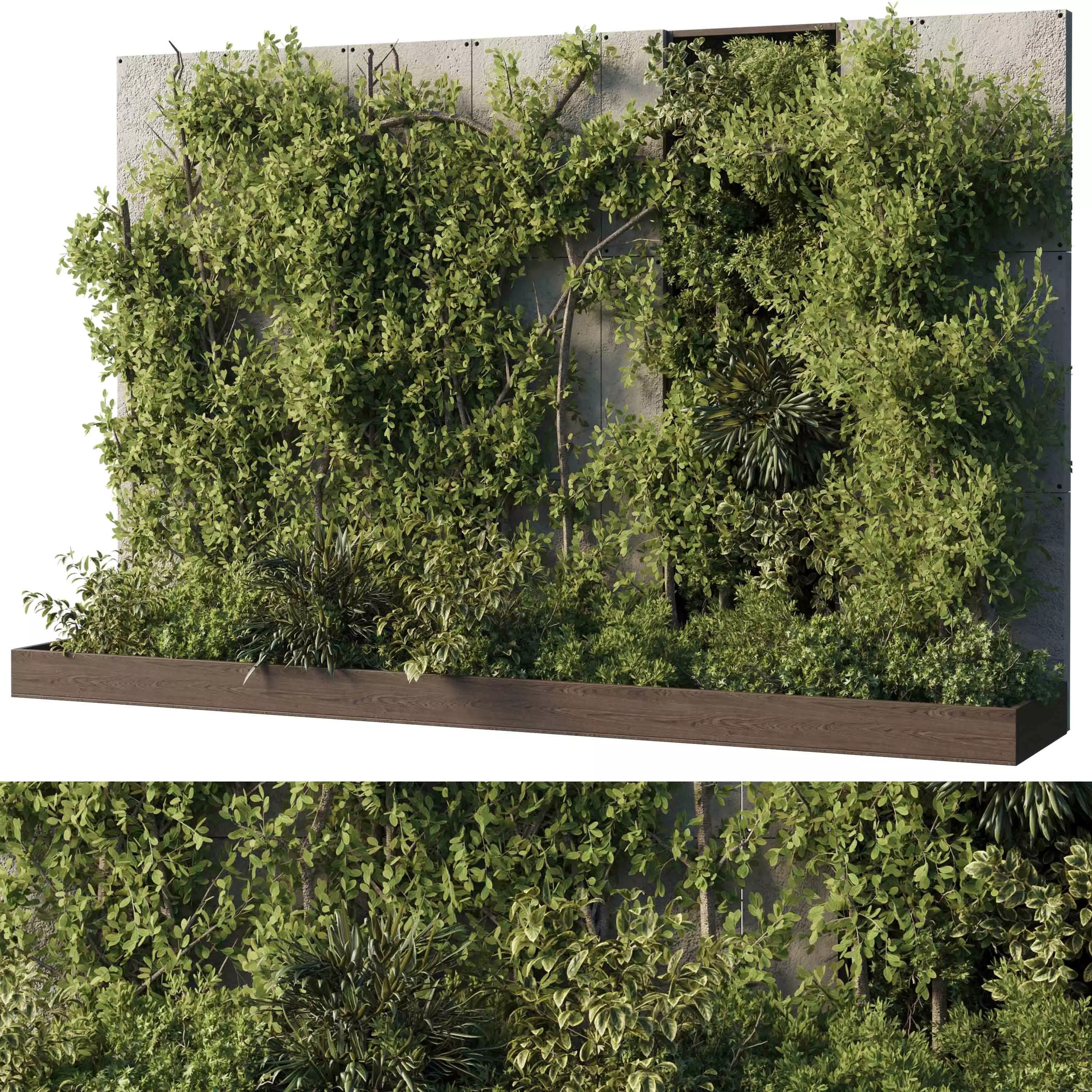 Vertical Wall Garden - plant box garden set of outdoor plant 19 3D model