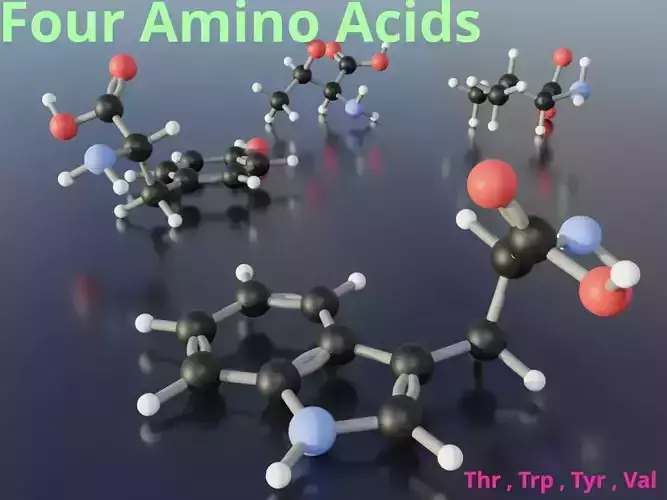 3D molecular model of amino acids