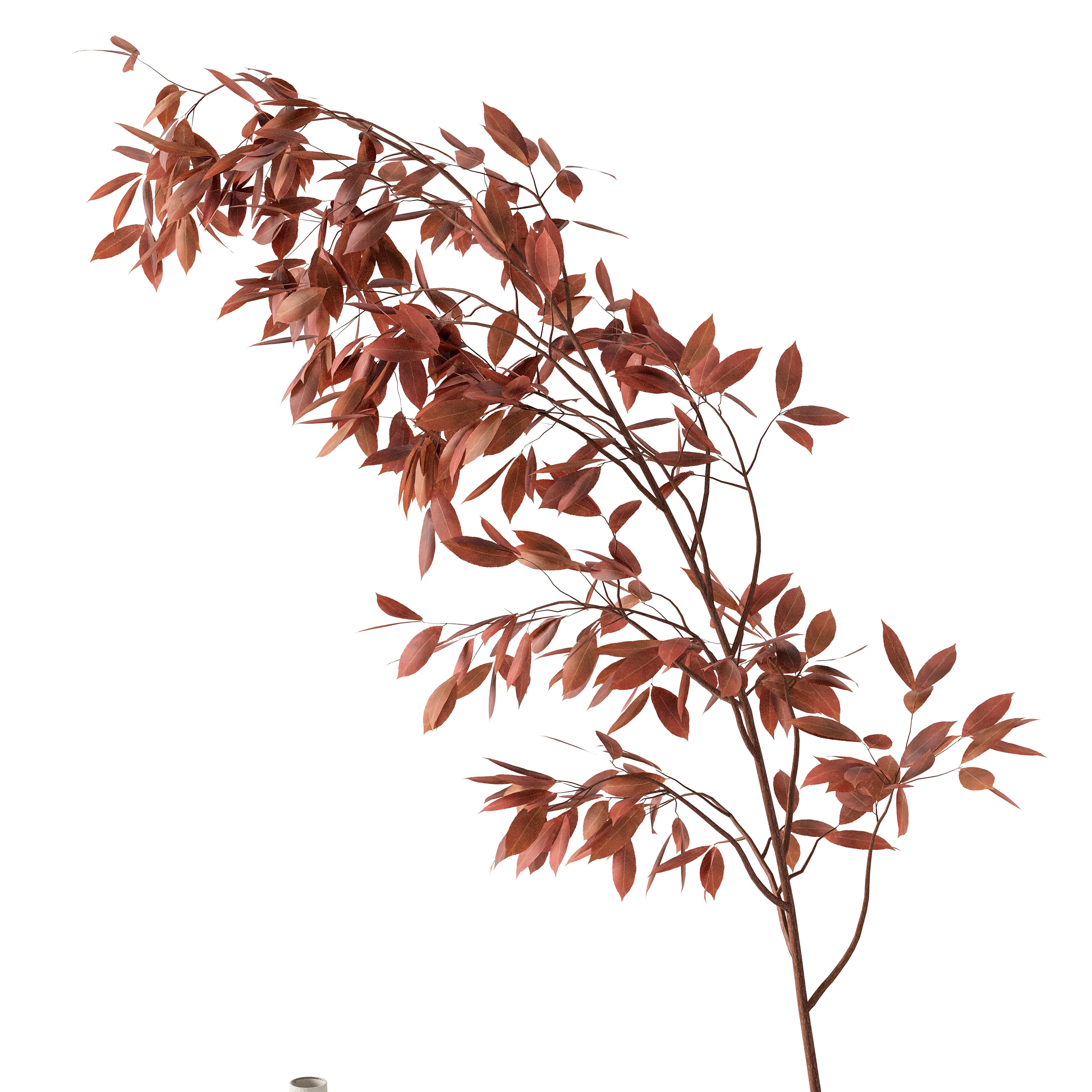 Decorative Set 11 3D model_3